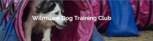 Wilmslow Dog Training Club