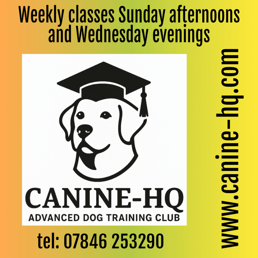 Canine HQ Advanced dog training classes Woodford Community Centre SK7 1PS
